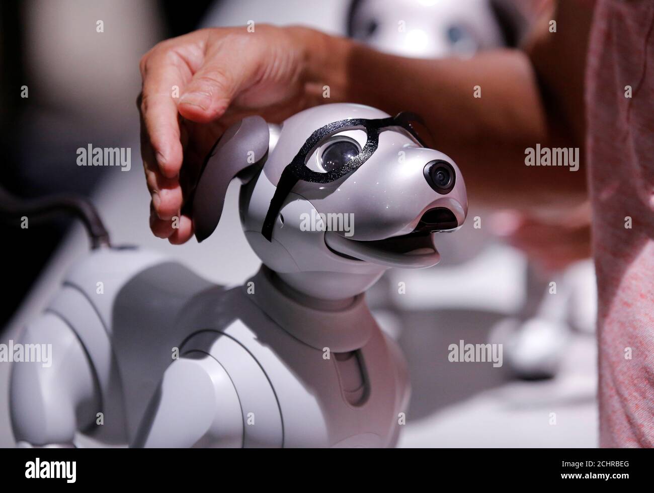 A man pets his AIBO robot dog at Sony Corp's entertainment robot AIBO's fan  meeting in Tokyo, Japan August 26, 2018. REUTERS/Kim Kyung-Hoon Stock Photo  - Alamy