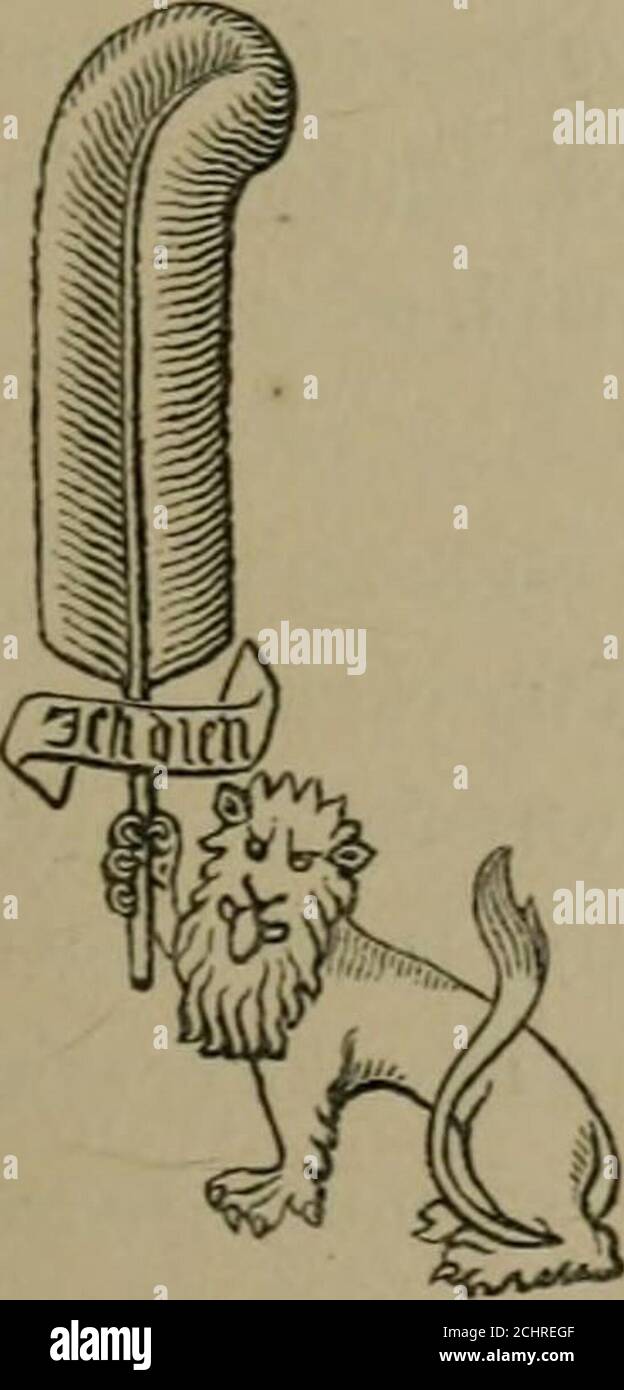 lions hires stock photography and images Alamy