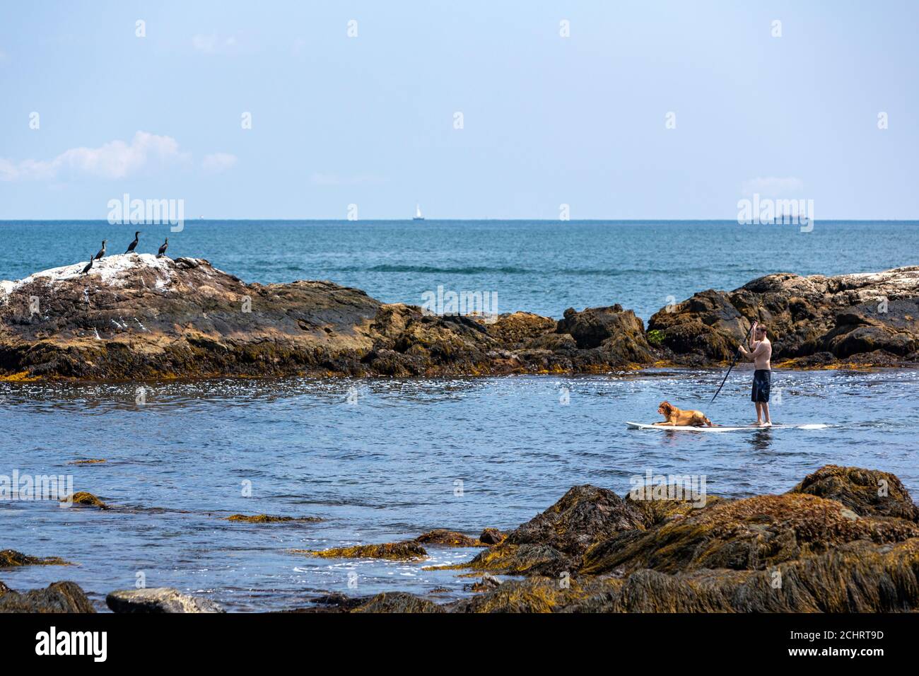 Man paddle boarding with his dog from Ocean Drive Historic District