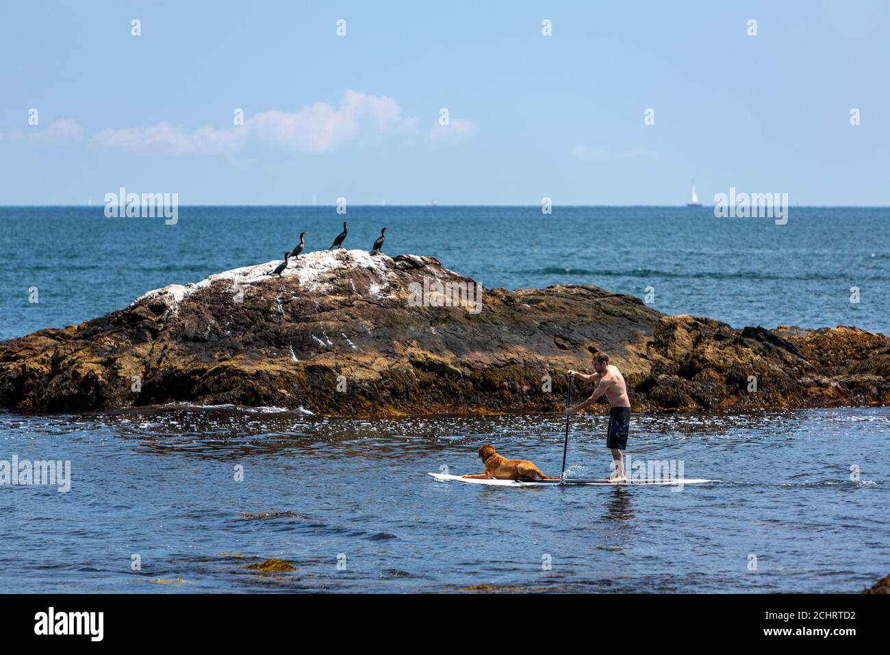 Man paddle boarding with his dog from Ocean Drive Historic District