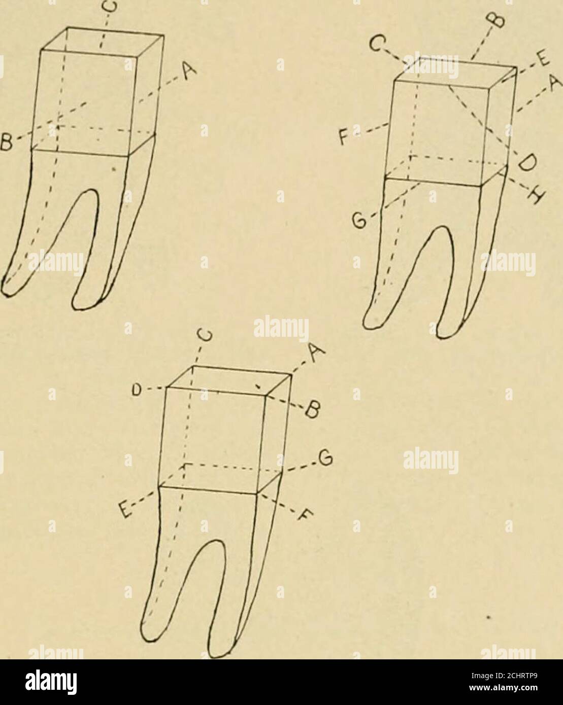 . Operative and dental anatomy technics; a classroom and laboratory manual for freshmen dental