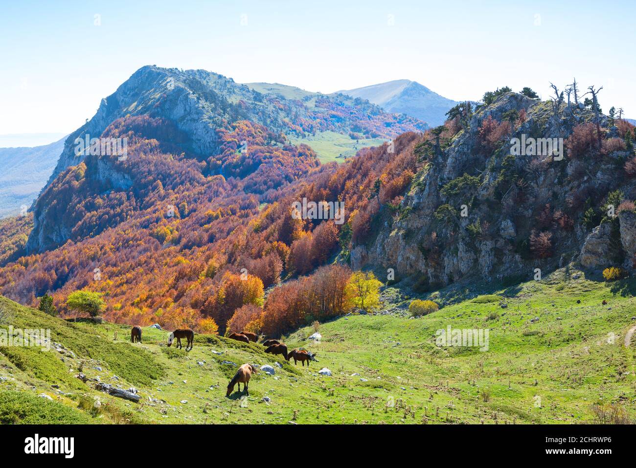 Autumn in Pollino National Park, southern Italy. Stock Photo