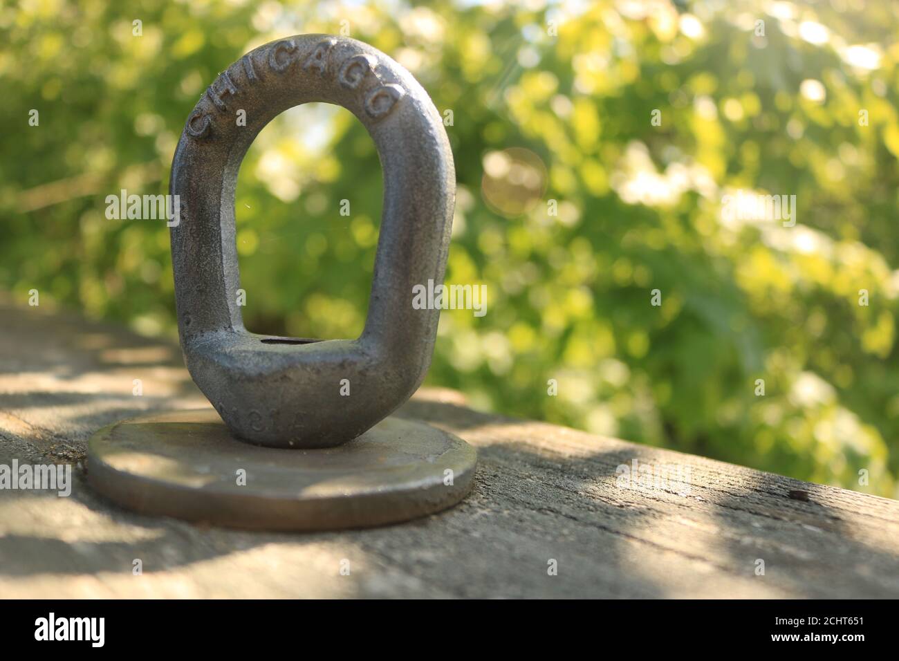 Chicago hardware eye bolt with sunlight shining through tree leaves