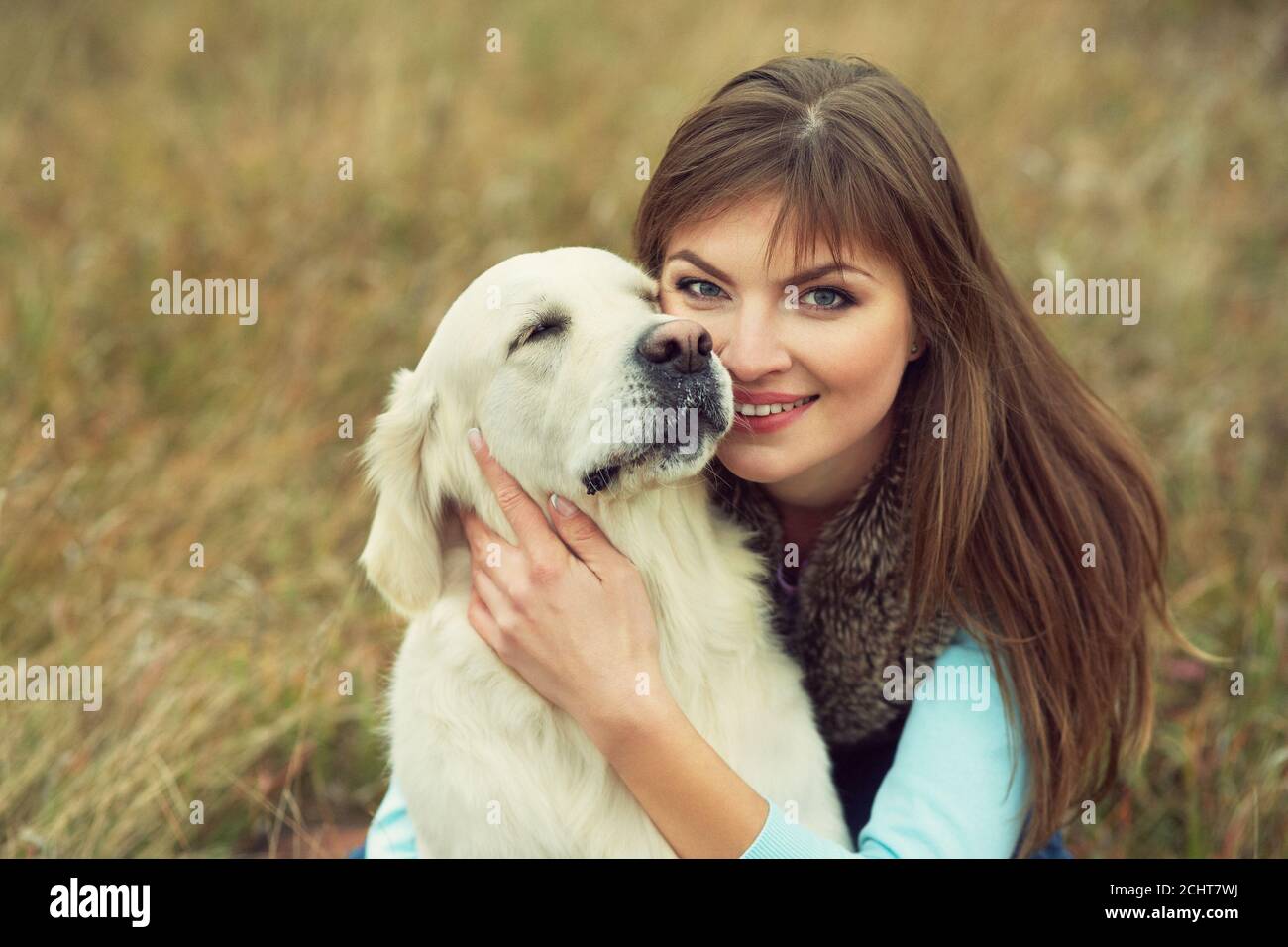 golden retriever for a walk with his owner. Dog breed labrador with woman outdoors Stock Photo
