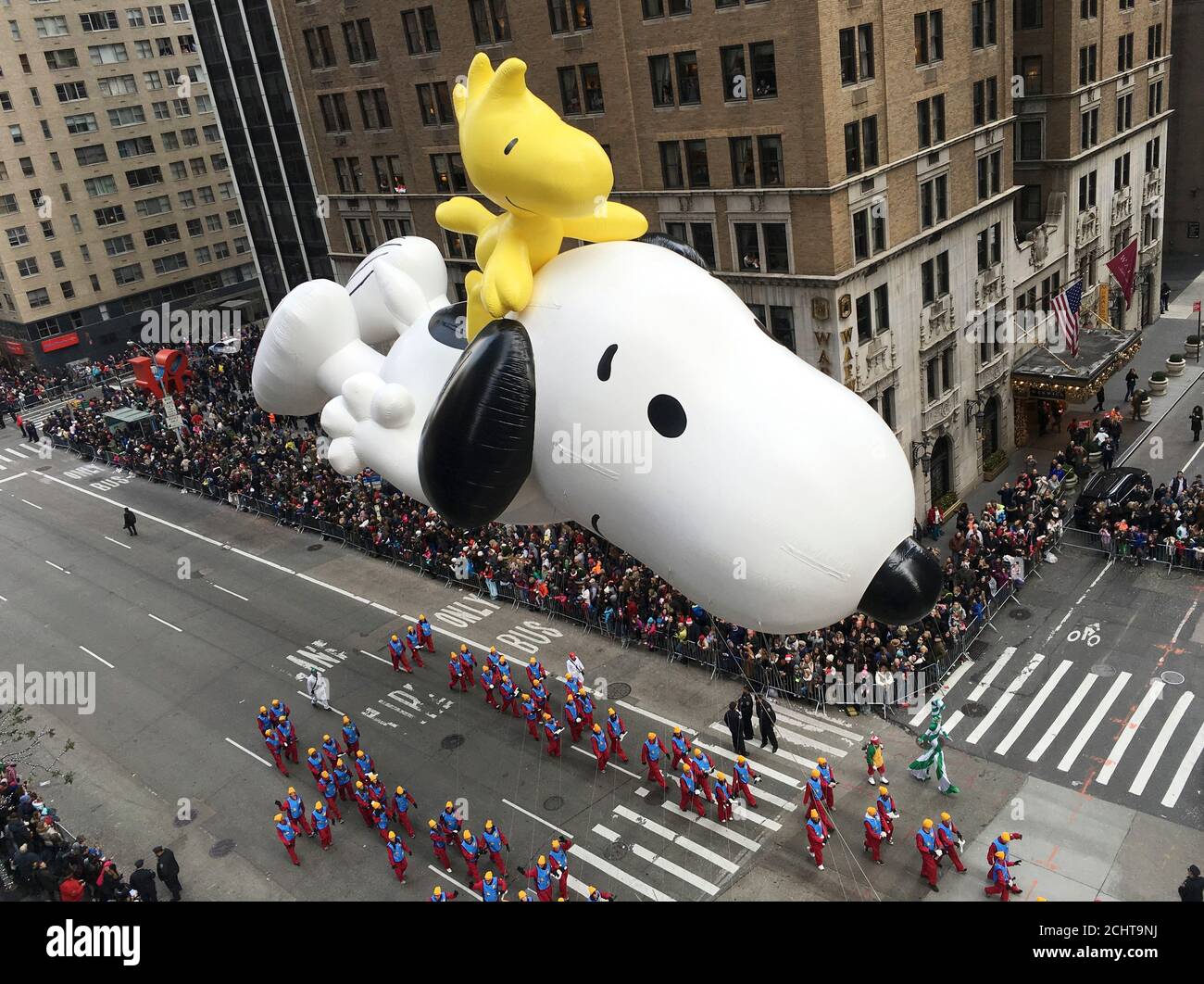Peanuts float where hires stock photography and images Alamy