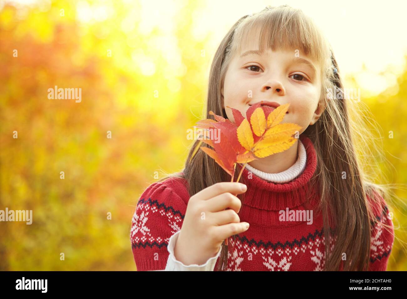 portrait of a cute smiling little girl in autumn Stock Photo - Alamy