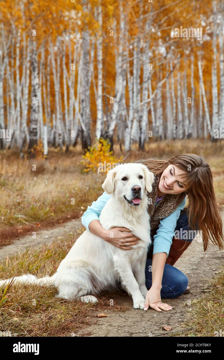 Young golden retriever for a walk with his owner. Dog breed labrador with woman outdoors. Stock Photo