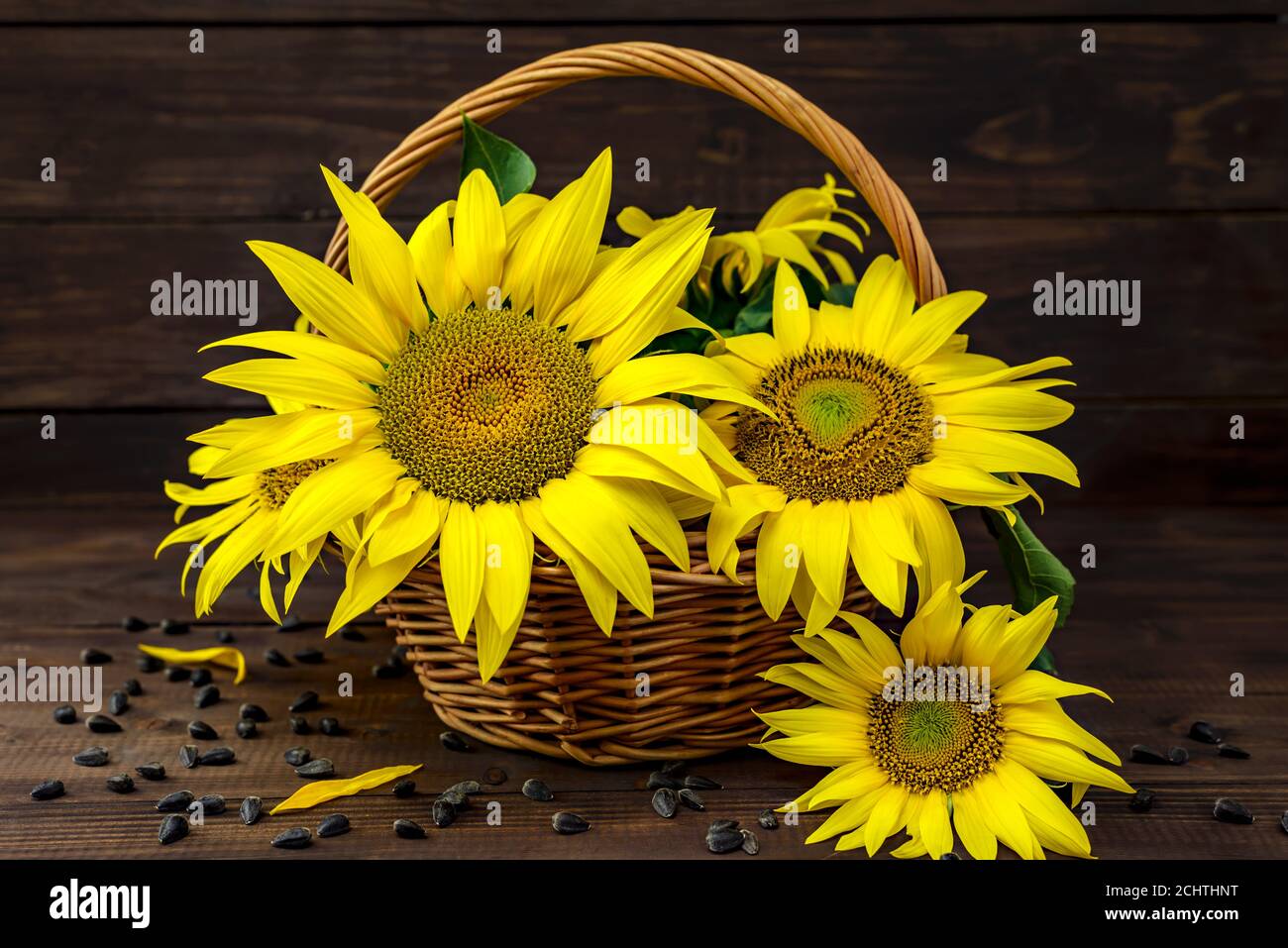 Wicker basket with beautiful yellow sunflowers and sunflower seeds on ...