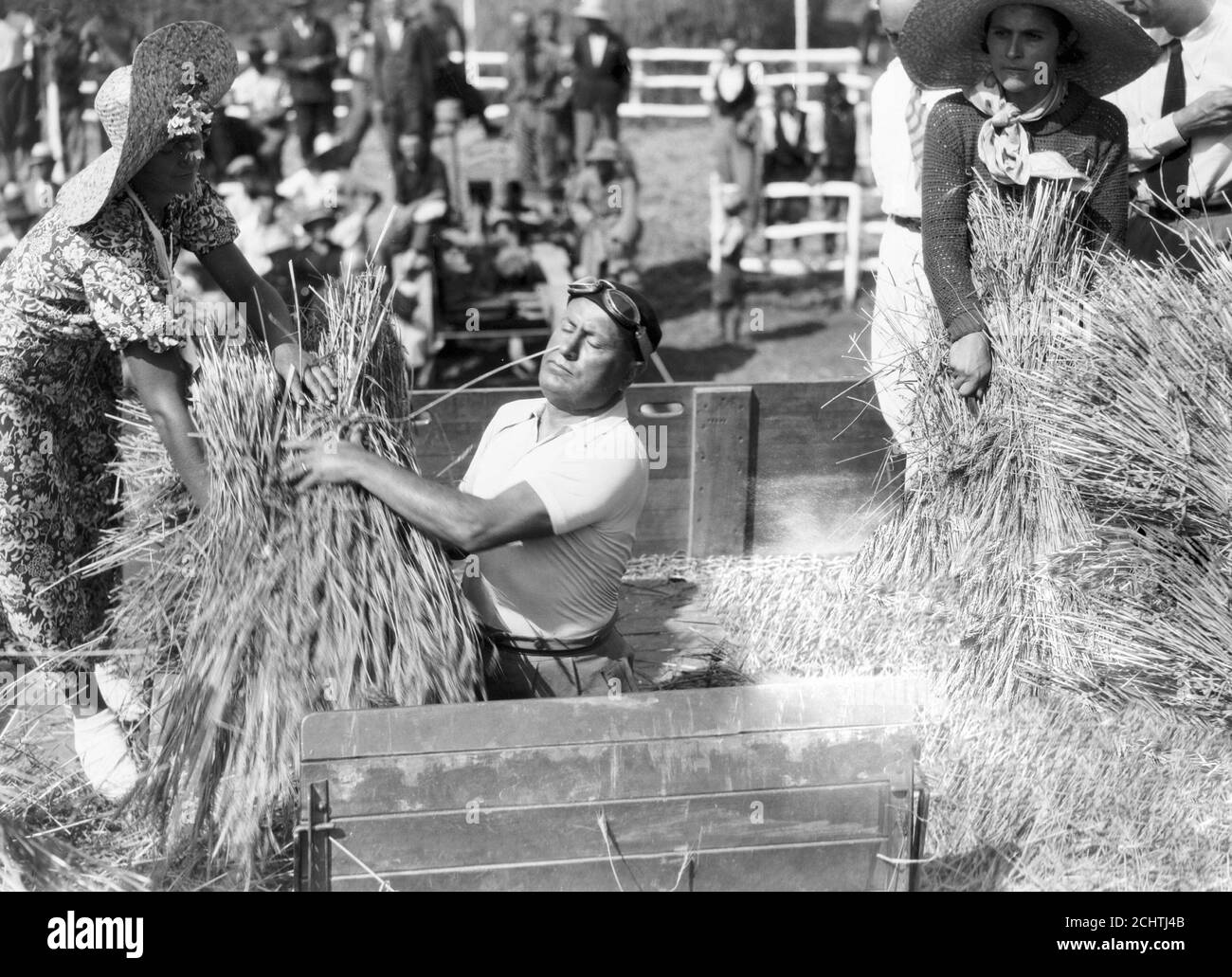 History of Fascism: wheat campaign. Benito Mussolini promoting wheat campaign by doing himself the job, 1934. Stock Photo
