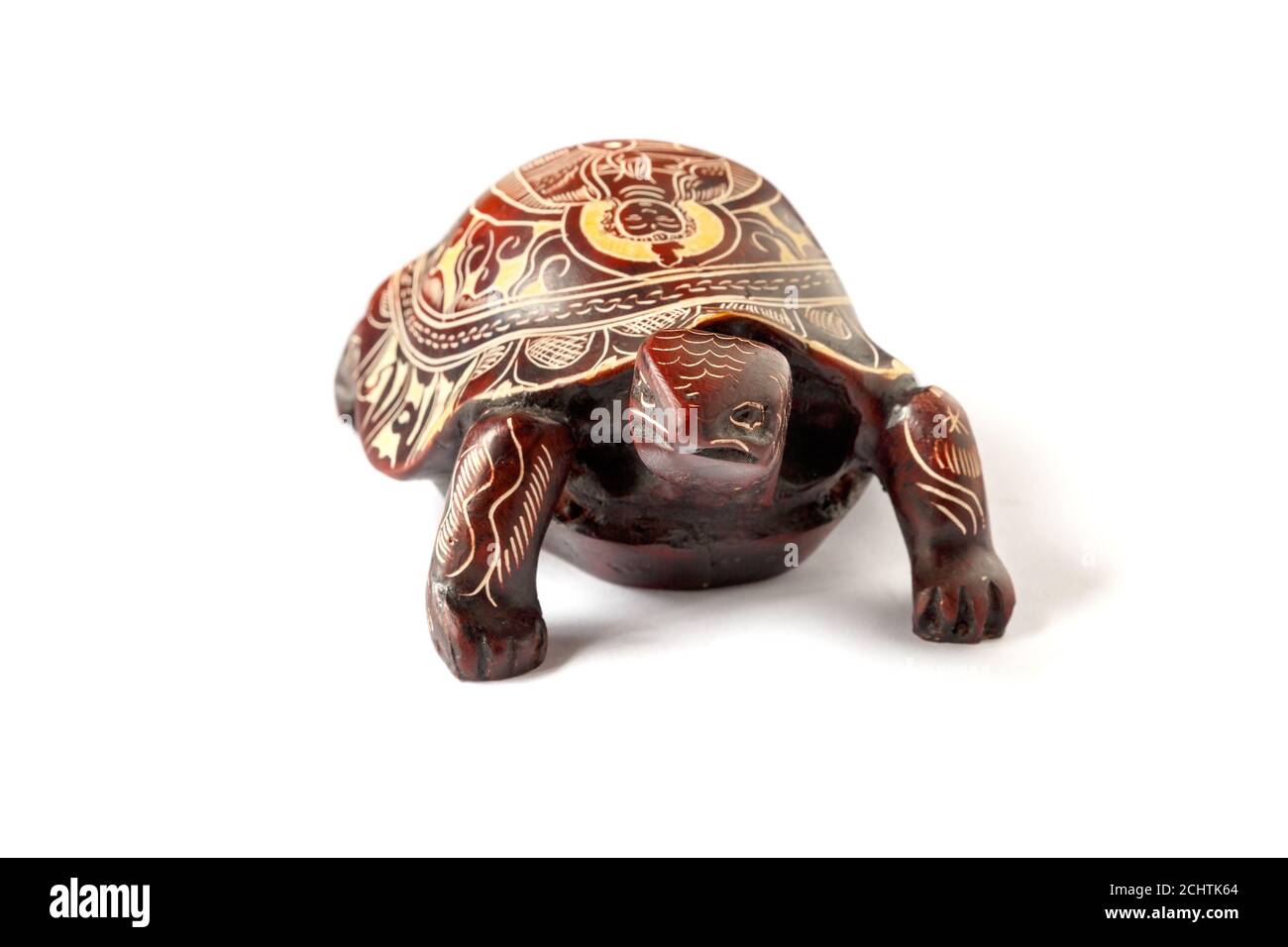 Turtle with the image of the Buddha on the shell, white background. Front view. Stock Photo