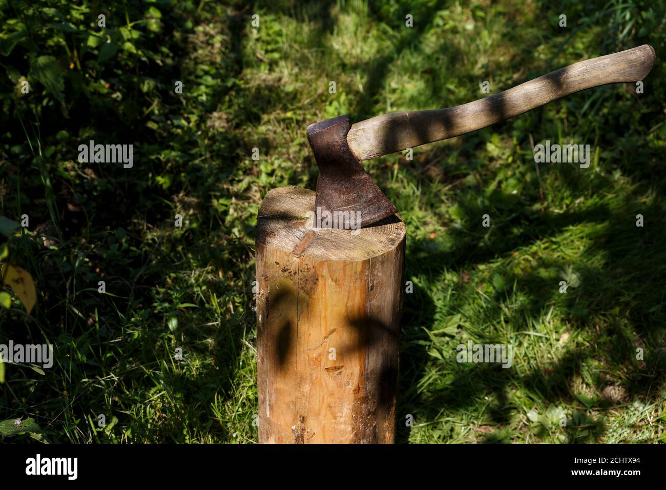 An iron ax with a wooden handle stuck into a pine stump in the forest. Stock Photo