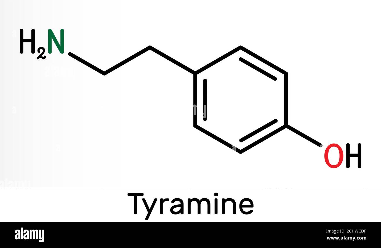 Tyramine, tyramin molecule. It is monoamine compound derived from tyrosine. Skeletal chemical formula. Illustration Stock Photo