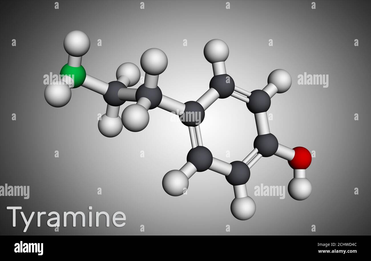 Tyramine, tyramin molecule. It is monoamine compound derived from tyrosine. Molecular model. 3D rendering Stock Photo