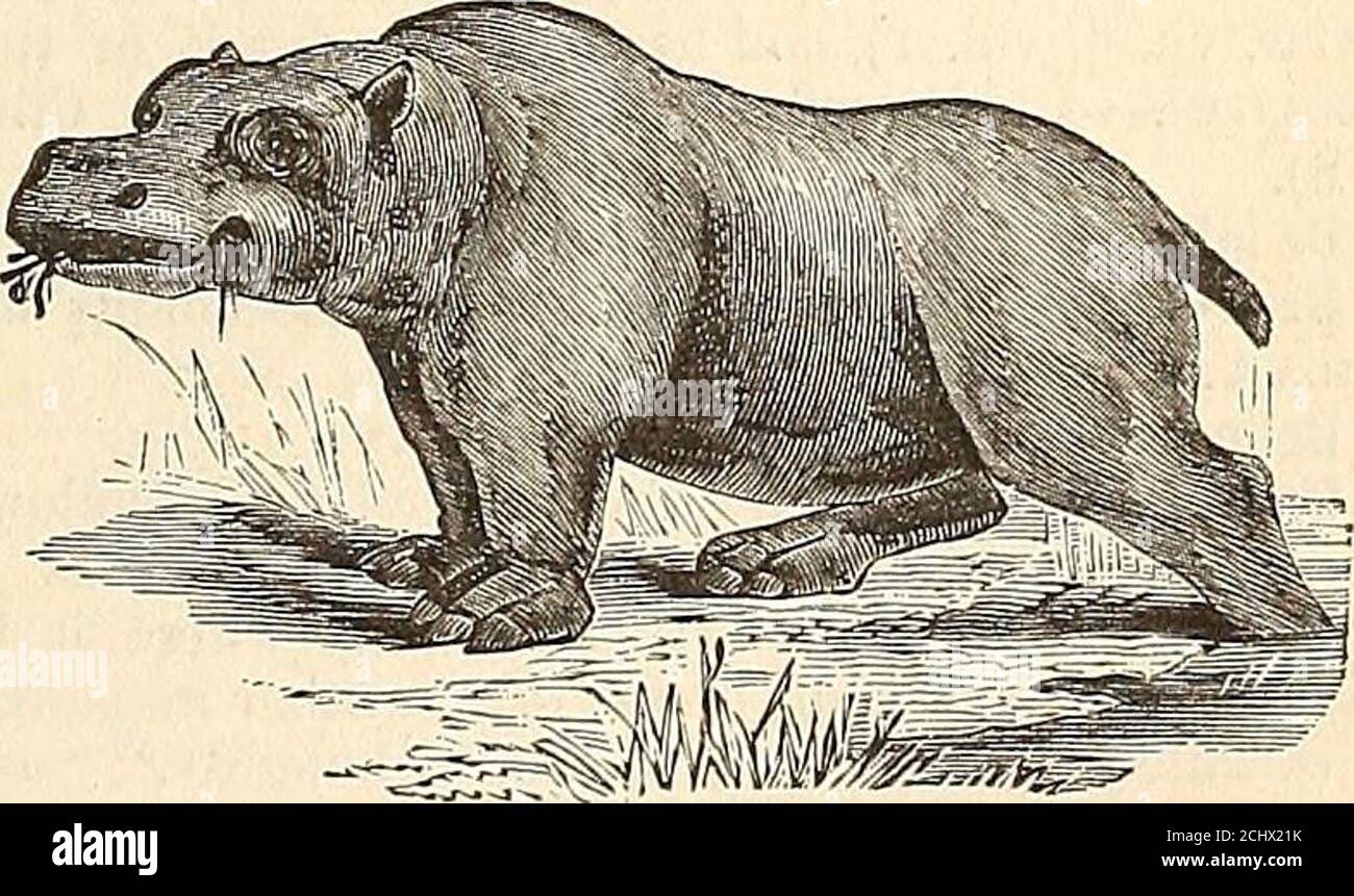 A Comprehensive Dictionary Of The Bible . Nifica-Tion Will Permit—Bir  Es-Seba1 = The Well Of Thelion, Or Of Seven.— The Wilderness Of Beer-She-Ba  (Gen. Xxi. 14) Probably Denotes The Desertcountry S.