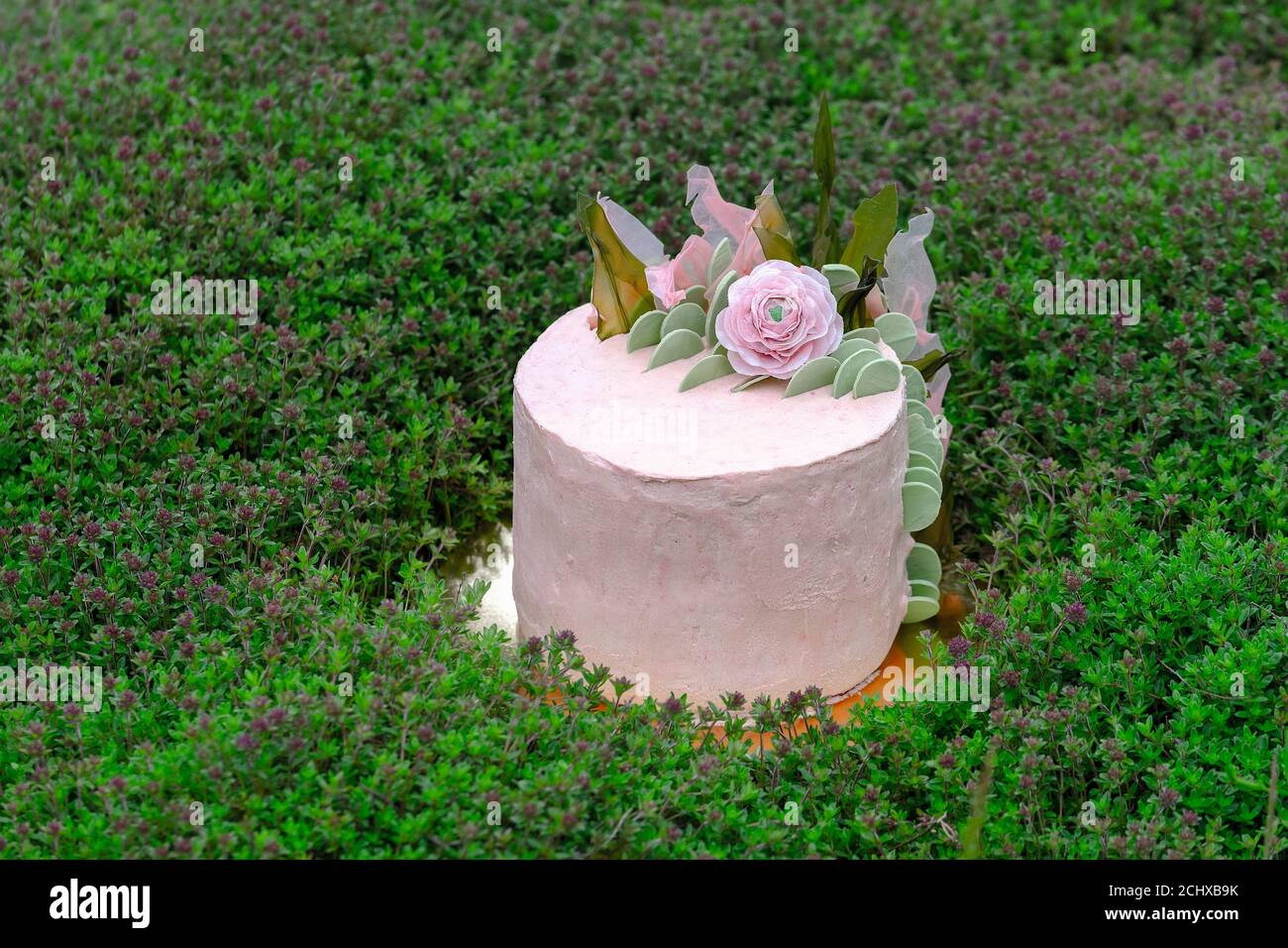 A very tasty healthy wonderful vegan tart without animal fat, covered with a rose-colored cream and decorated with a pink rose and green leaves. Stock Photo