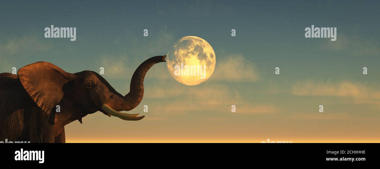 3D illustration of an elephant ,moon and sunset Stock Photo Alamy