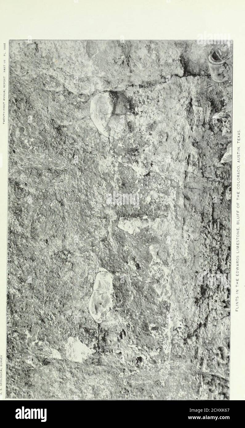 . Annual report of the United States Geological Survey to the Secretary of the Interior . the top of this ledge there are an enormousnumber of Requienia texana 4 0 0. Base concealed by embed. Total, Bee Creek section 104 8 The total thickness of the partial section of the Edwards limestone on down-thrown side of Balcones fault in the vicinity of Austin, as determined from the foregoing sections, is as follows: Ft. In. (a) Bluff on Barton Creek, beds 49 to 43 29 11 (b) Deep Eddy Bluff, beds 42 to 24 99 8 (c) Bluff at mouth of Bee Creek, beds 23 to 1 104 8 Grand total 234 3 The base of the limes Stock Photo