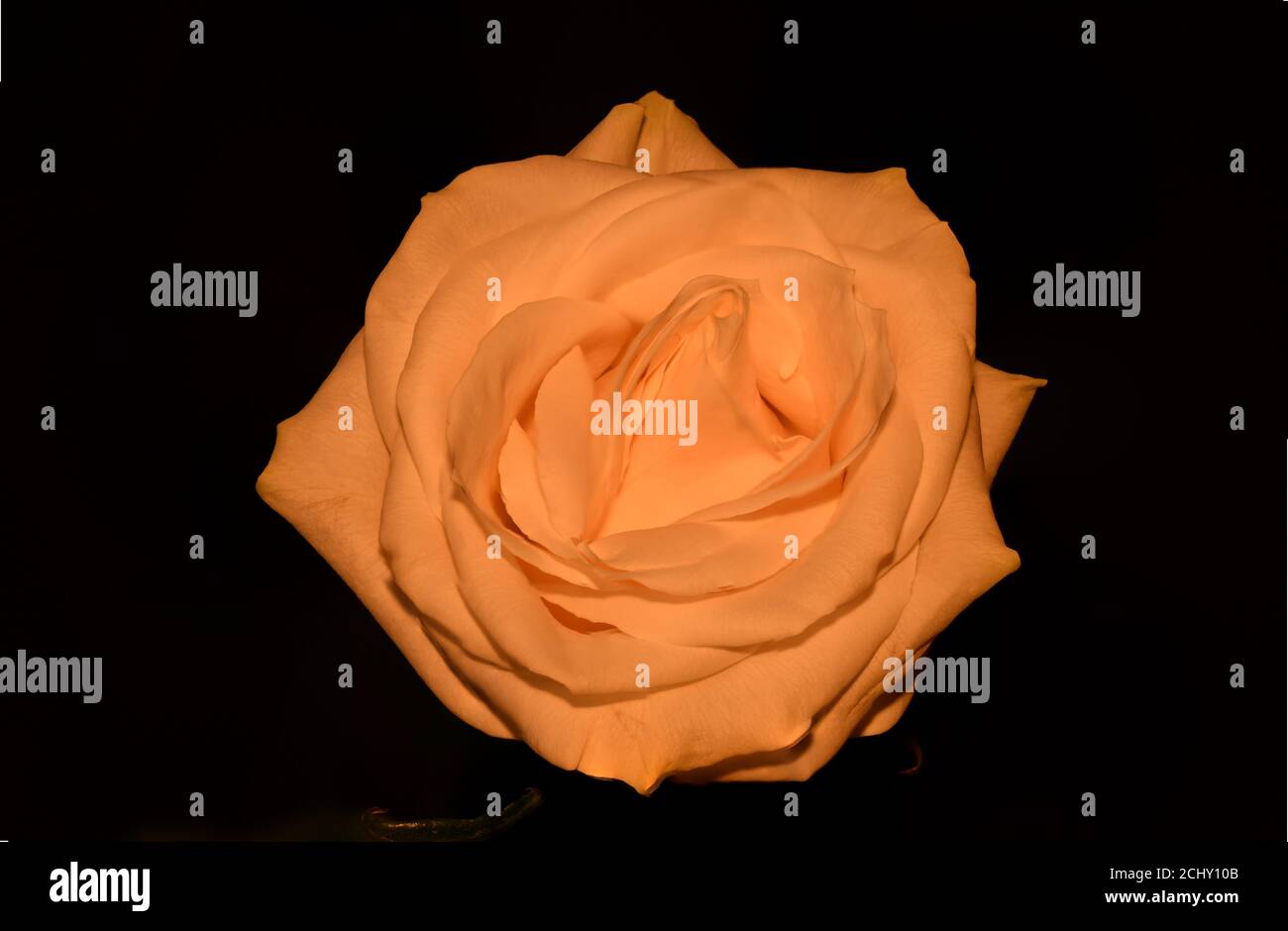Photographyislife hi-res stock photography and images - Alamy