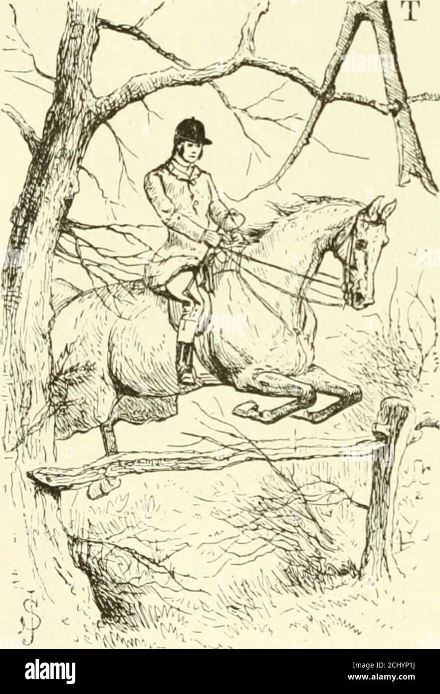 . The cream of Leicestershire : eleven seasons' skimmings, notable runs and incidents of the chase, selected and republished from 'The Field' . rt Cossington Gorseplayed in the season 1870—71. SEASON 1871-72. CLINKER WITH ME. TAILBY FROM OWSTONWOOD. last we have liad a dayssport worth tellmg—audone that, however goodthe season may turn out, isnot likely to find manyrivals. St&gt;, instead of beingsentenced to speak of runsthat ought to have beenand were not, of scent thatought to have existed anddidnt, of foxes that oughtto have gone straight andwouldnt, let me endeavourto convey some idea of Stock Photo