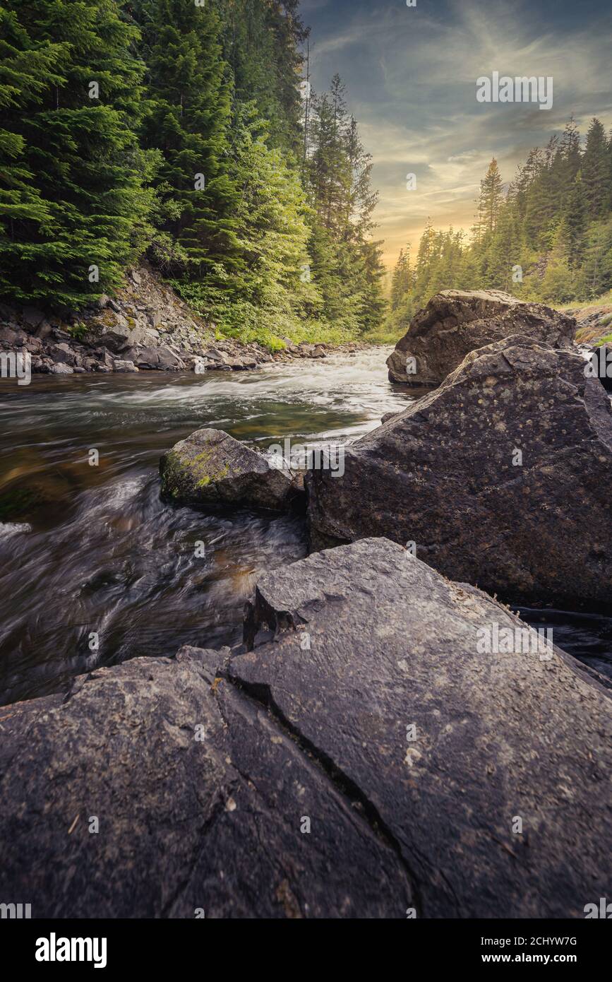 Vertical view of the mountain river in the forest at sunrise. Stock Photo
