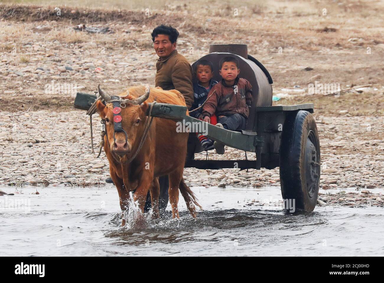 A man and boys enter the water on an ox-cart from the North Korean side of  the Yalu River, just north of the town of Sinuiju, North Korea, March 30,  2017. REUTERS/Damir