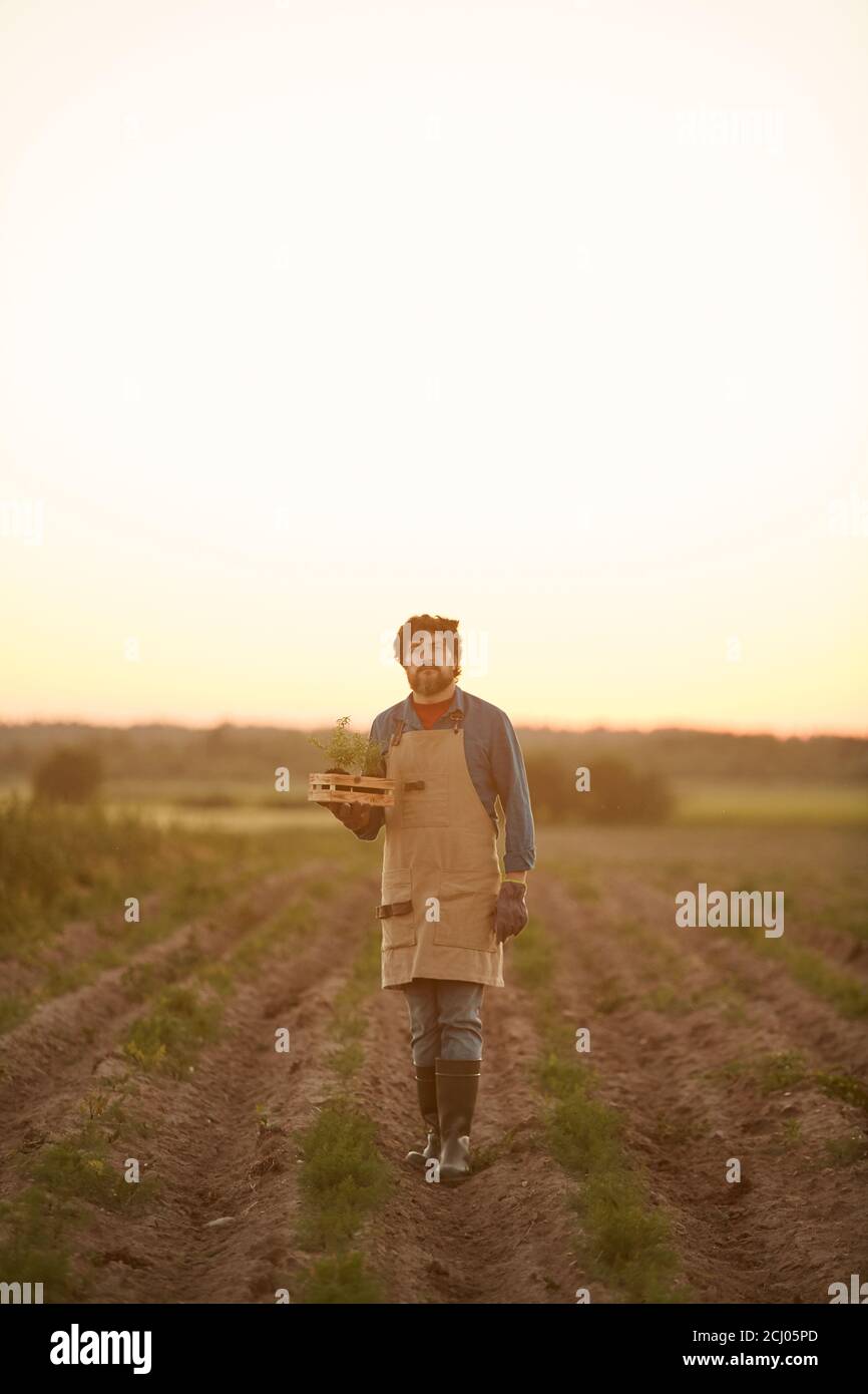 Vertical full length portrait of bearded farmer walking towards camera in field lit by sunset light Stock Photo