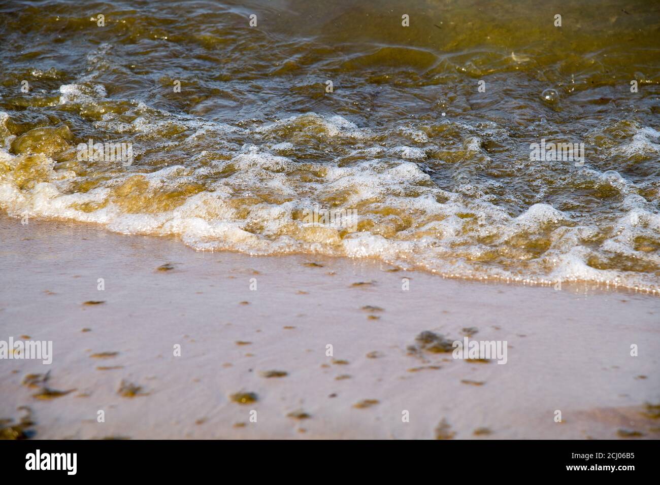 Sopot beach is closed because of Cyanobacteria bloom during the last hot days in Gdansk, Poland. August 8th 2020 © Wojciech Strozyk / Alamy Stock Phot Stock Photo