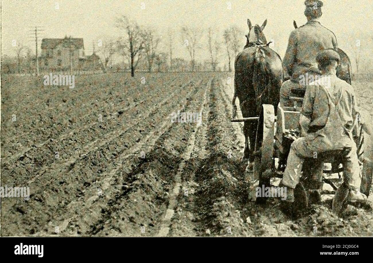 Potatoes, a money crop, how to grow, fertilize, spray and harvest them at a  profit . The Hoover Potato Digger: A modern digger inevery respect. (By  courtesy of the Hoover ManufacturingCompany,, image size:1300x917