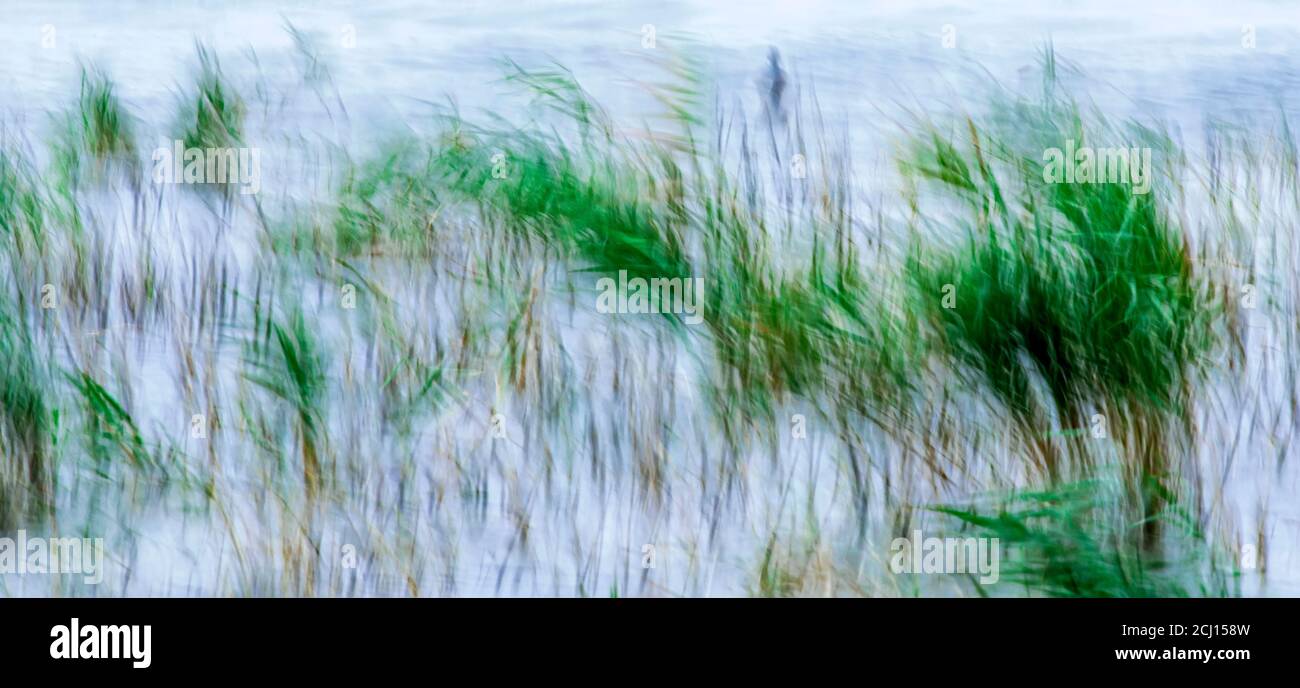 Abstract nature. Motion blur background. Colorful nature background. Stock Photo