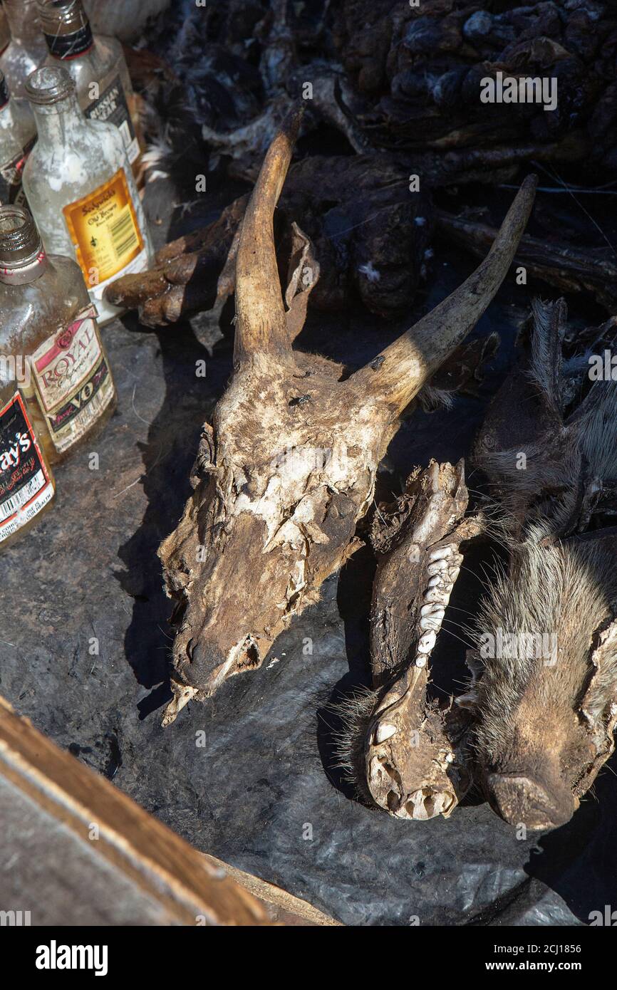 Animal skulls at Faraday market. Used as "muti" traditional African medicine Stock Photo