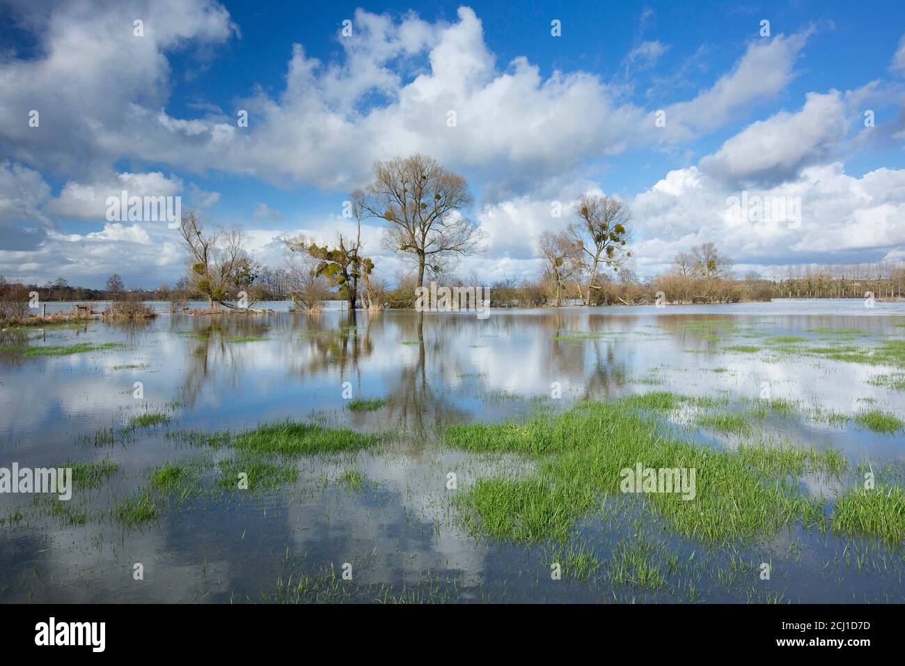 Flooding in the vaaley of the river Aisne, France, Aisne, Vouziers Stock Photo