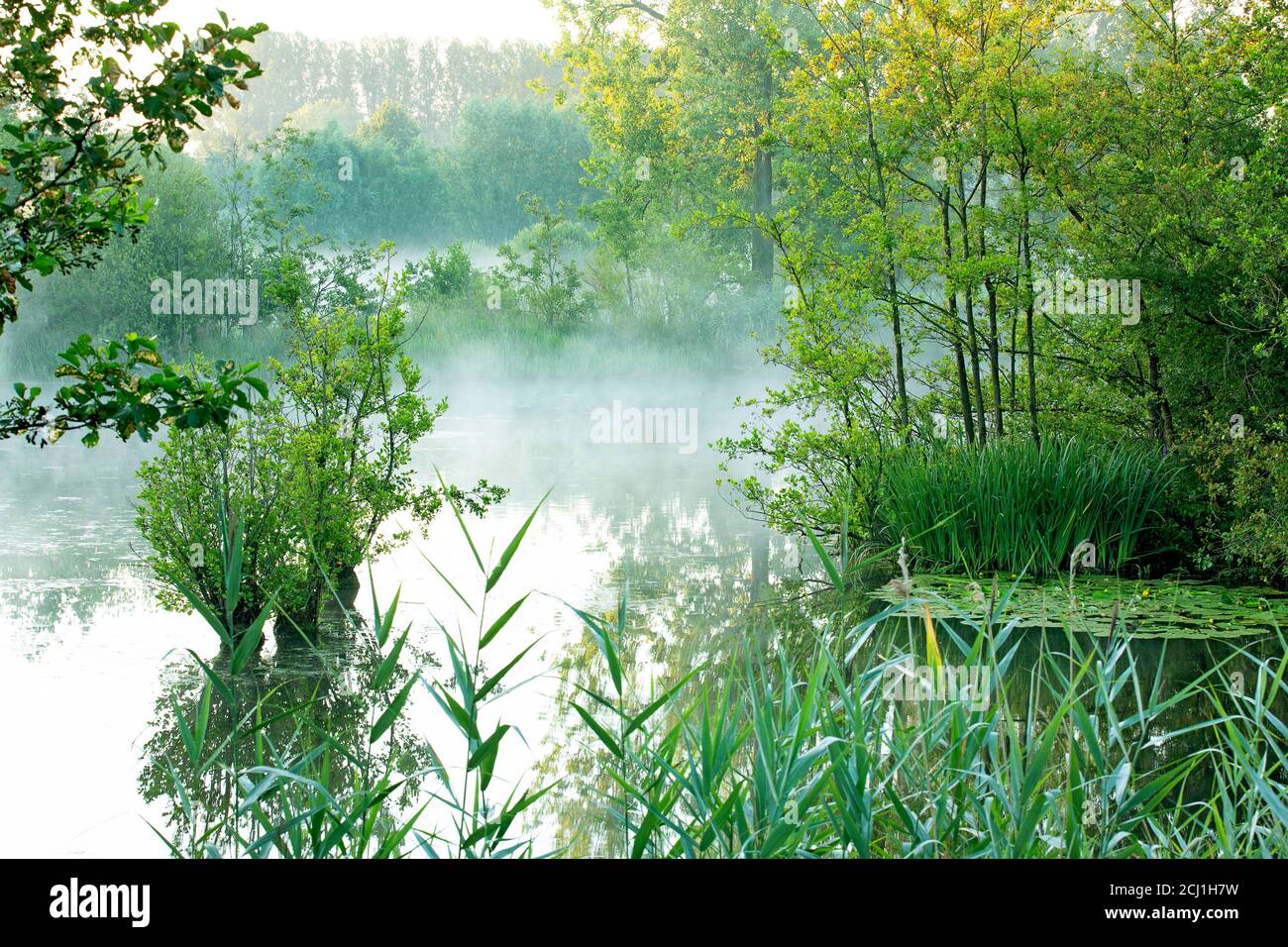 Molsbroek nature reserve hi-res stock photography and images - Alamy