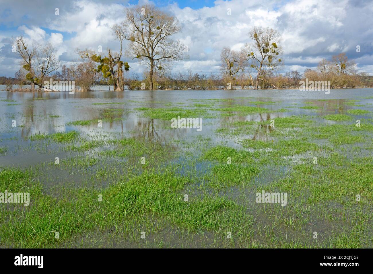 Flooding in the vaaley of the river Aisne, France, Aisne, Vouziers Stock Photo