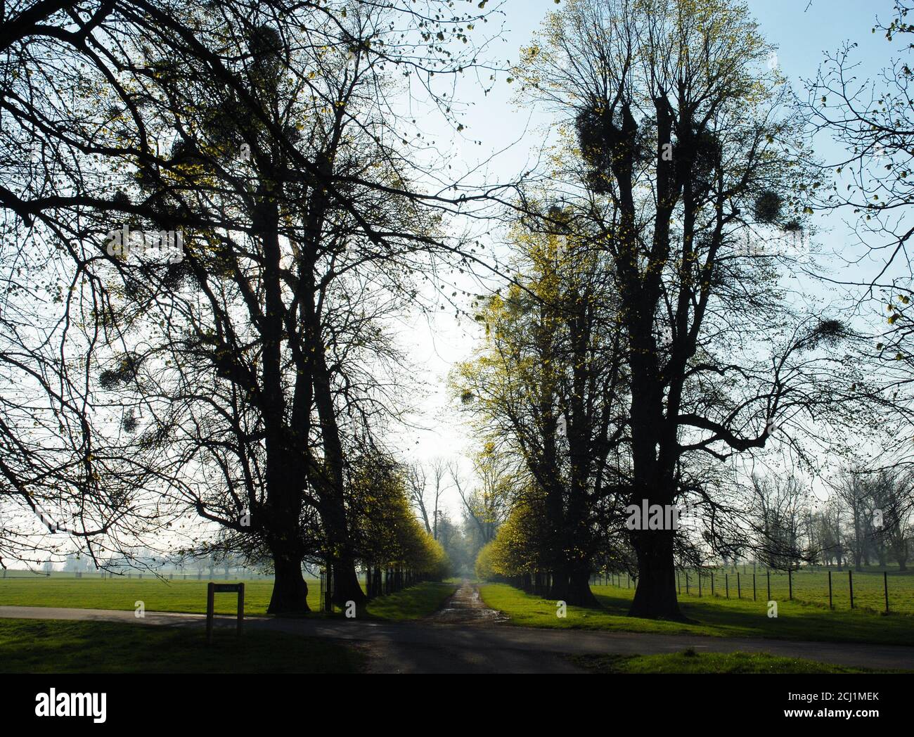 Restored lime avenue hires stock photography and images Alamy