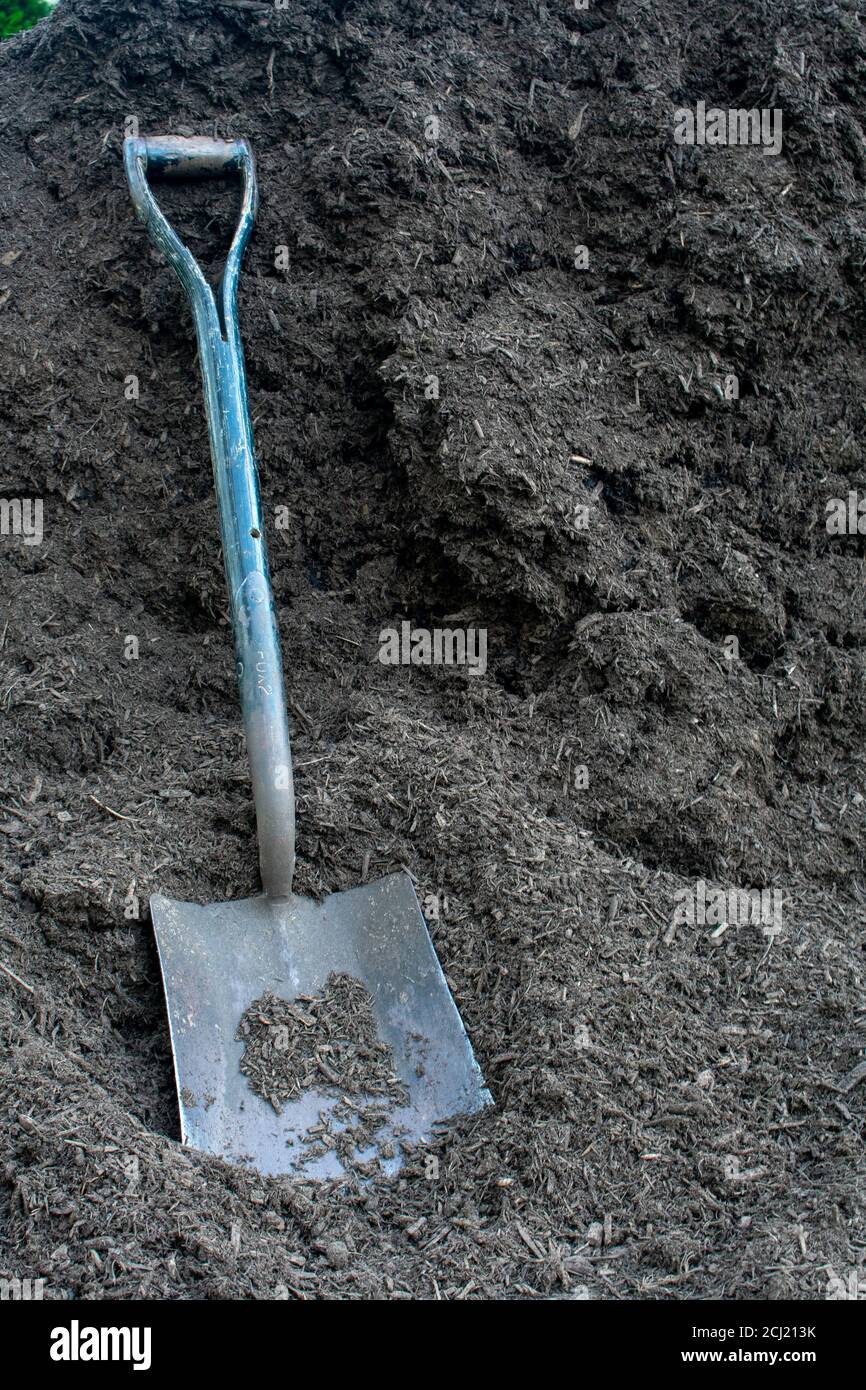A Metal Gardening Shovel in a Large Pile of Black Mulch Stock Photo Alamy