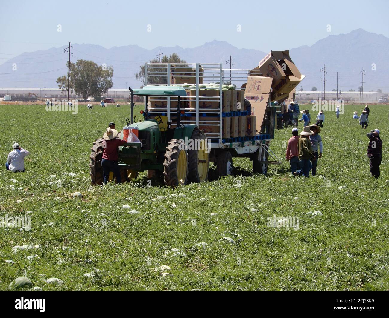 Arizona watermelons hires stock photography and images Alamy