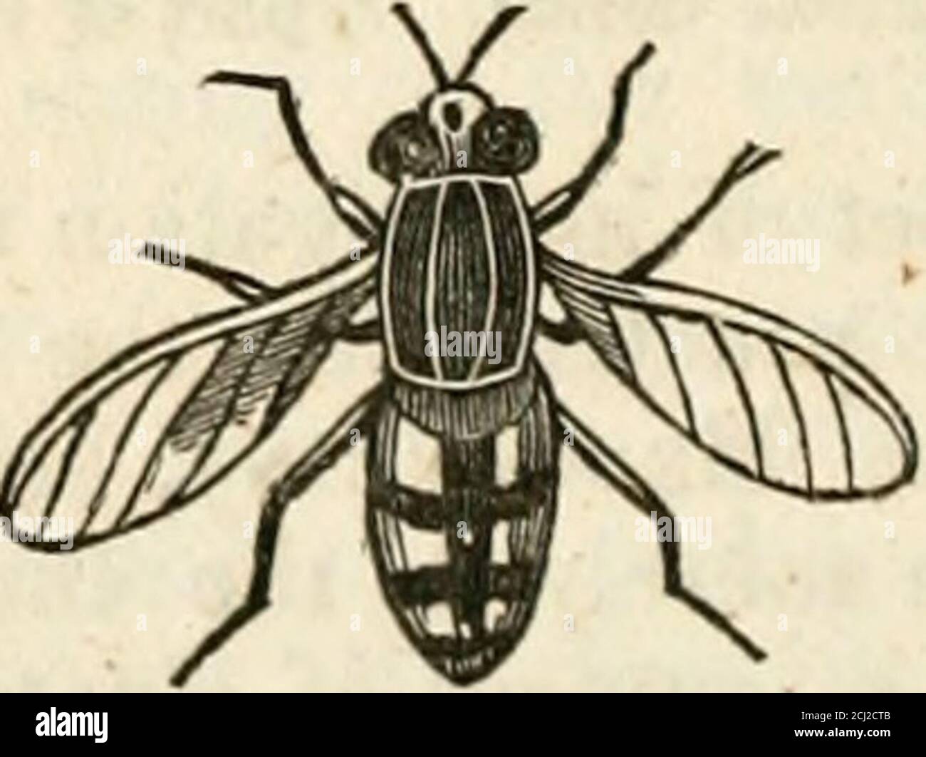 Movesthrough hi-res stock photography and images - Alamy