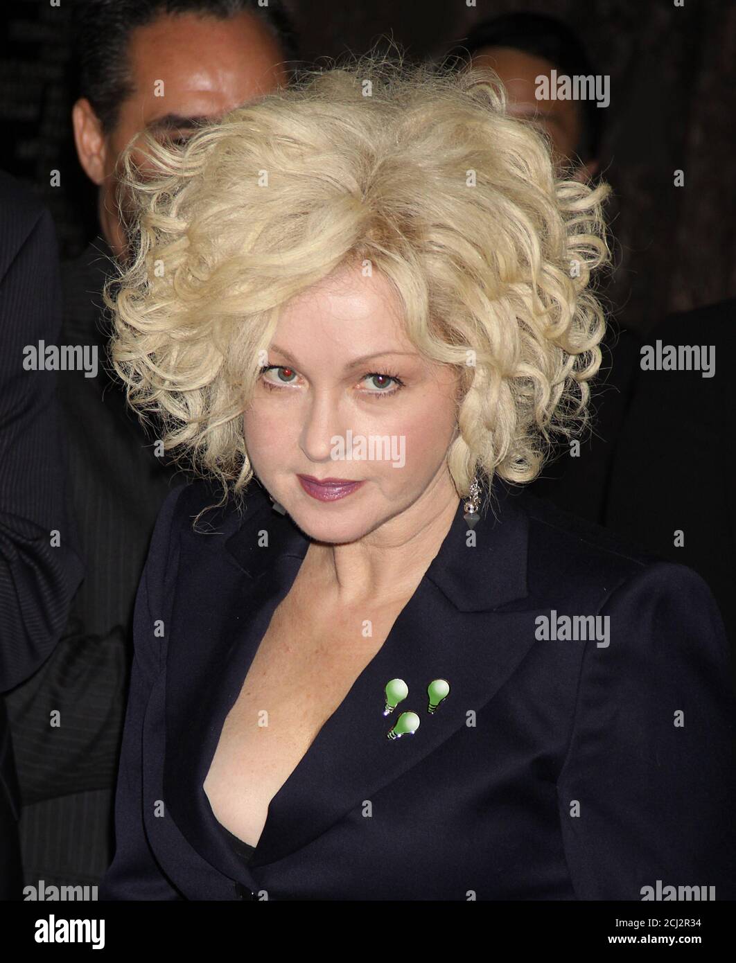 Cyndi Lauper, 2010 Photo By John Barrett/PHOTOlink Stock Photo Alamy
