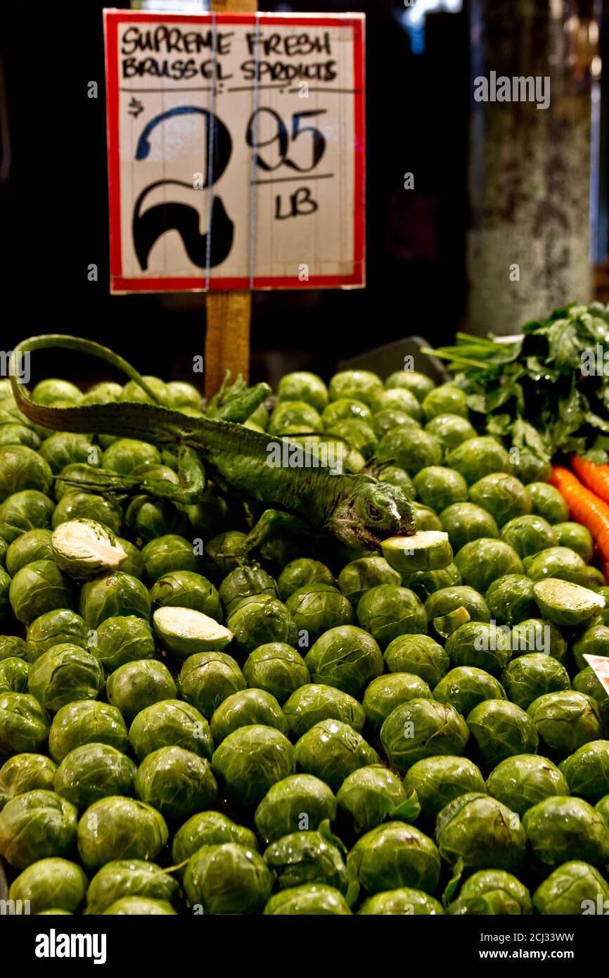 Brussels Sprouts  on display at Pike Market, Seattle, WA. Stock Photo
