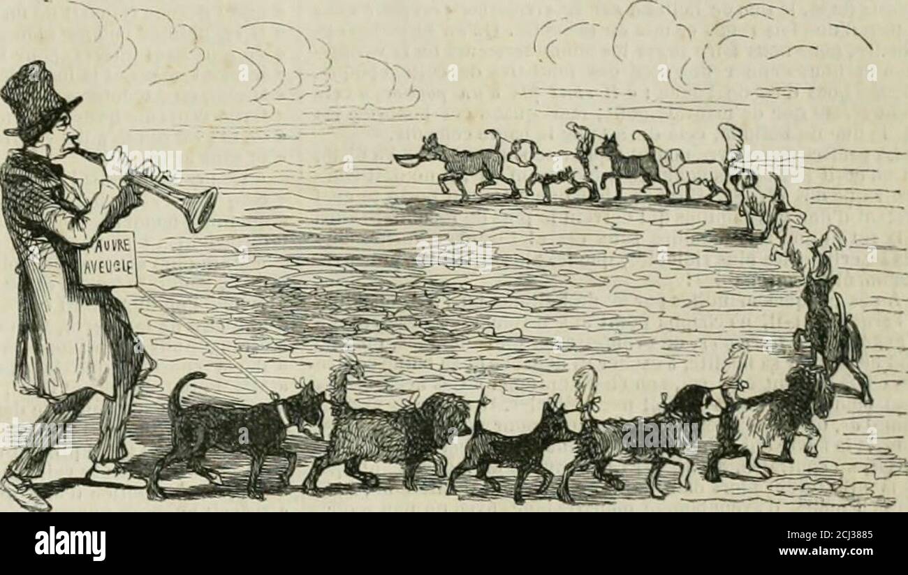 L Illustration Journal Universel Ma Foi V Itpsb Lescnovedb De Payer Pourmon Chien Aioai Gardez Le Jvas Vous Lalacher Trait Dhumanite Dunaveiigle Tendant A Exempter Plusieurs Chiens De La Taxe Stock Photo L Illustration Journal Universel Ma Foi V Itpsb Lescnovedb De Payer Pourmon Chien Aioai Gardez Le Jvas Vous Lalacher Trait Dhumanite Dunaveiigle Tendant A Exempter Plusieurs Chiens De La Taxe Stock Photo