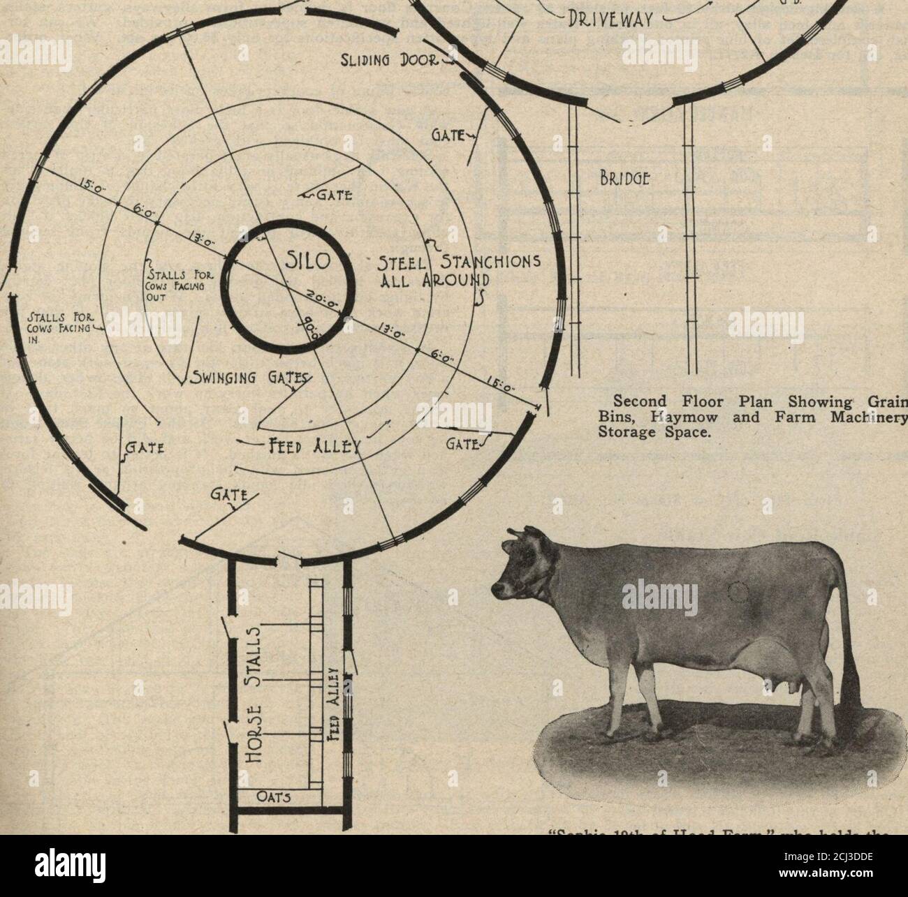 Our farm and building book. . the stable, next to the haymow,there is a  driveway. The outer circleis partitioned off into grain bins andcorn cribs.  Under the approach to thebarn is