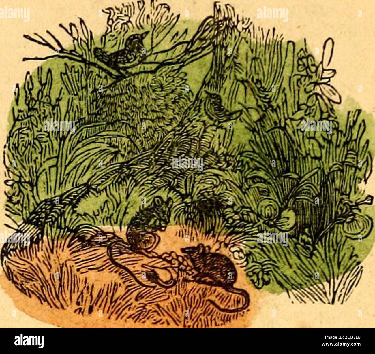 Nursery Rhymes The Church Bells The Bells Ringing Up In The Tower Are Sending A Sound To The Heart Theres A Charm In The Old Church Bells Which Nothing In Life Can