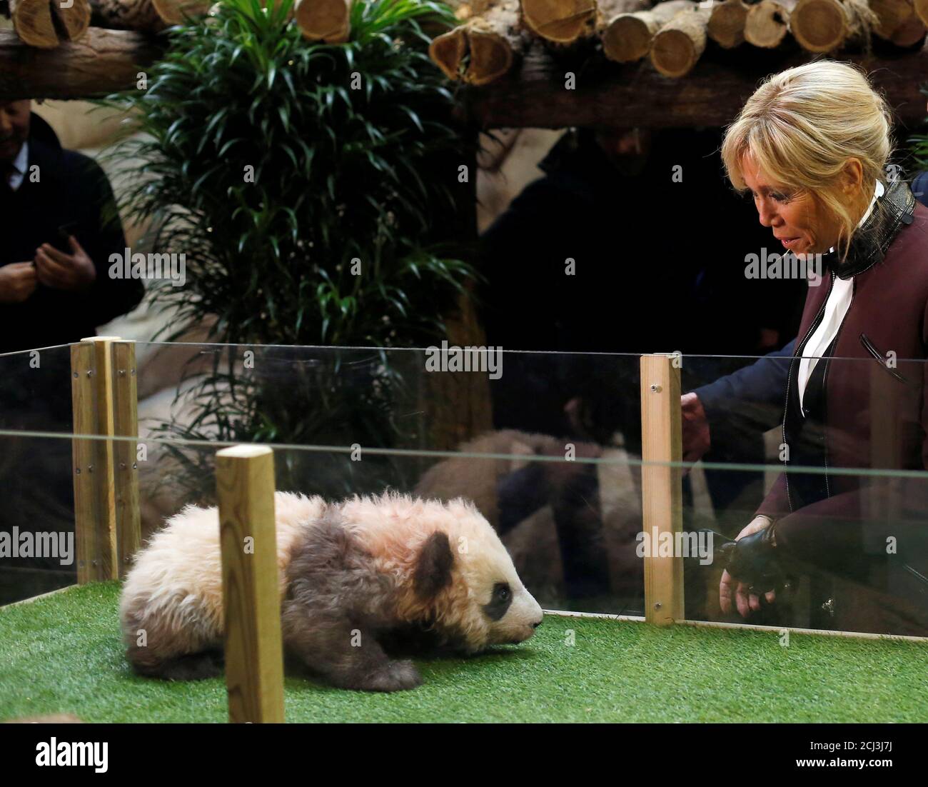 Brigitte Macron, wife of the French president, attends a naming ceremony of the panda born at the Beauval Zoo in Saint-Aignan-sur-Cher, France, December 4, 2017. The 4-month-old cub is called Yuan Meng, which means “the realization of a wish” or “accomplishment of a dream.”   REUTERS/Thibault Camus/Pool Stock Photo