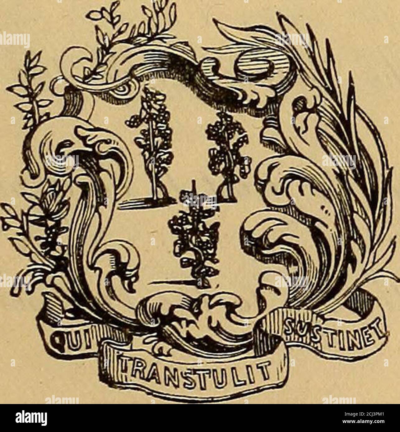 . Public documents of the legislature of Connecticut, ... session .. . W. H. - - 500 *Collins, Erastus - - 500 Keney, H. & W. - - 6,000 Colt, Samuel C. - 1,000 Langdon, Joseph - - 100 Colt, Mrs. Samuel - - 6,000 *Lee, William T. - - 500 Cooley, Francis B. - - 1,000 Lord, Horace 50 I 51 Lyman, C. C. $1,000 Rood, D. A. - - $100 *Marston, Stephen - 100 Smith, Thomas - 2,000 *Mather, Samuel - - 1,000 Tavlor, E. & Co. - 250 *Niles, J. M. - - 1,000 Turner, William W. - 500 *Niles, J. S. - - 500 Tuttle, Samuel I. - - 1,000 *Northarn, Charles H. - - 1,000 Tuttle, William F. - 1,000 *Palmer, Nelson - 1 Stock Photo