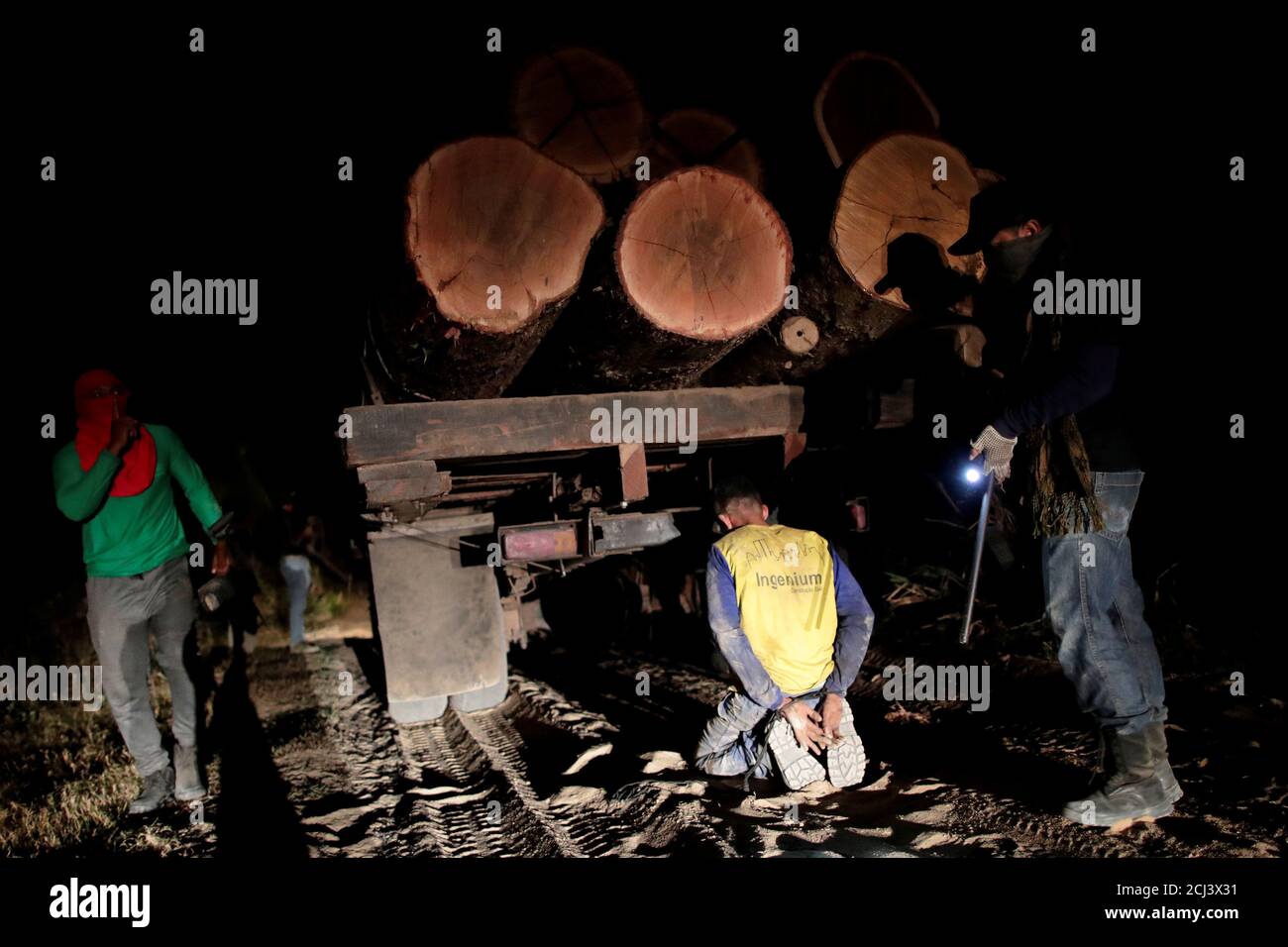 Illegal logging amazon rainforest hi-res stock photography and images ...