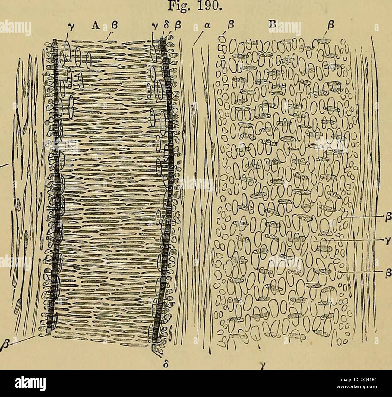 Andapart hires stock photography and images Alamy