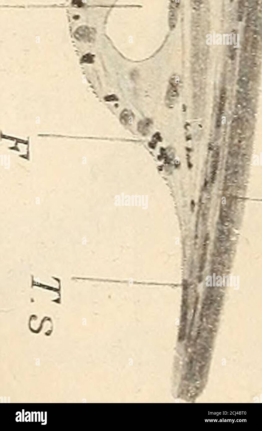 O Malen High Resolution Stock Photography And Images Alamy