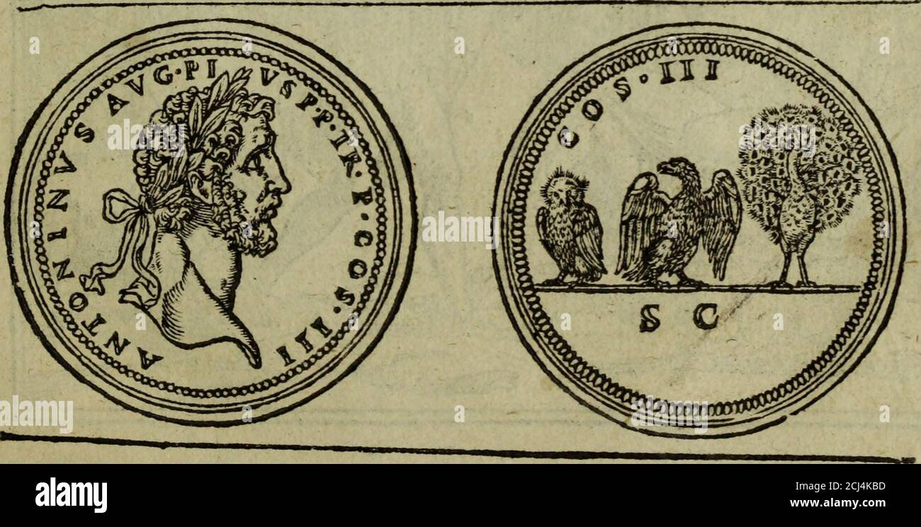 4 images 1 mot solution 4 lettres aigle ours