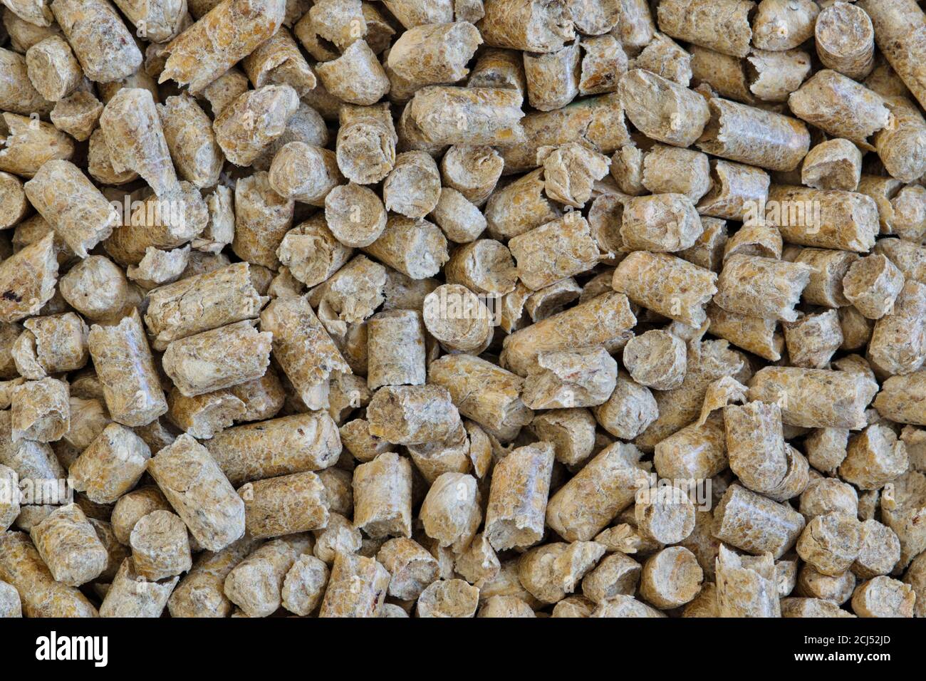 Pine pellet litter for pets, textured background. Macro close up details, one color full frame image. Stock Photo