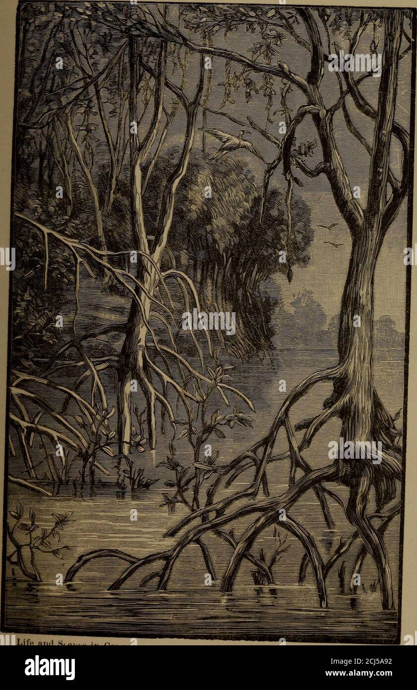 Life and scenes in Congo . strong currents and whirlpools